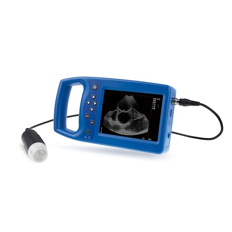 Veterinary Ultrasound Scanner Portable - เครื่องอัลตราซาวด์สัตวแพทย์ อุปกรณ์การแพทย์แบบพกพา ดิจิตอลเต็มรูปแบบ สำหรับแกะ สุนัข หมู