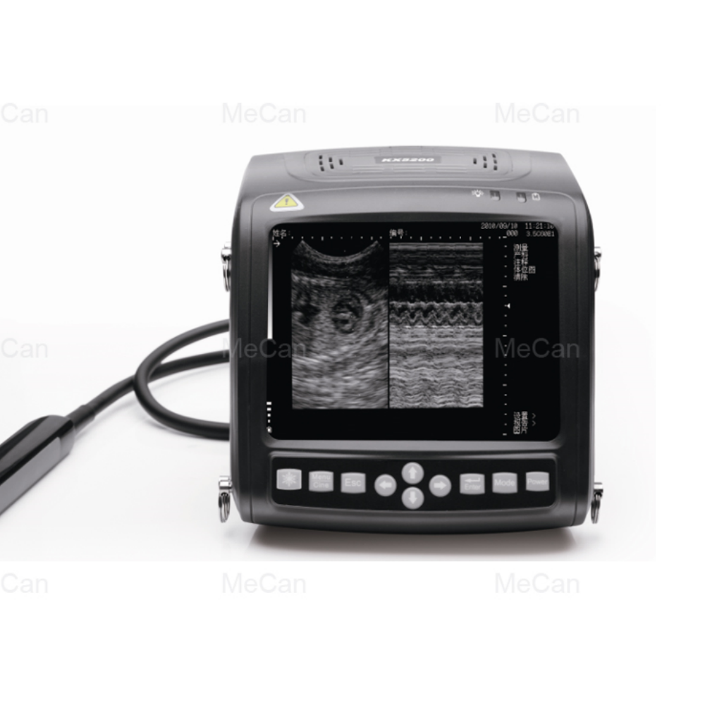 Livestock Ultrasound Pregnancy - เครื่องตรวจอัลตราซาวด์สำหรับสัตว์เลี้ยง ตรวจการตั้งครรภ์ แพะ สุกร ม้า พร้อมหัวตรวจแบบโค้ง