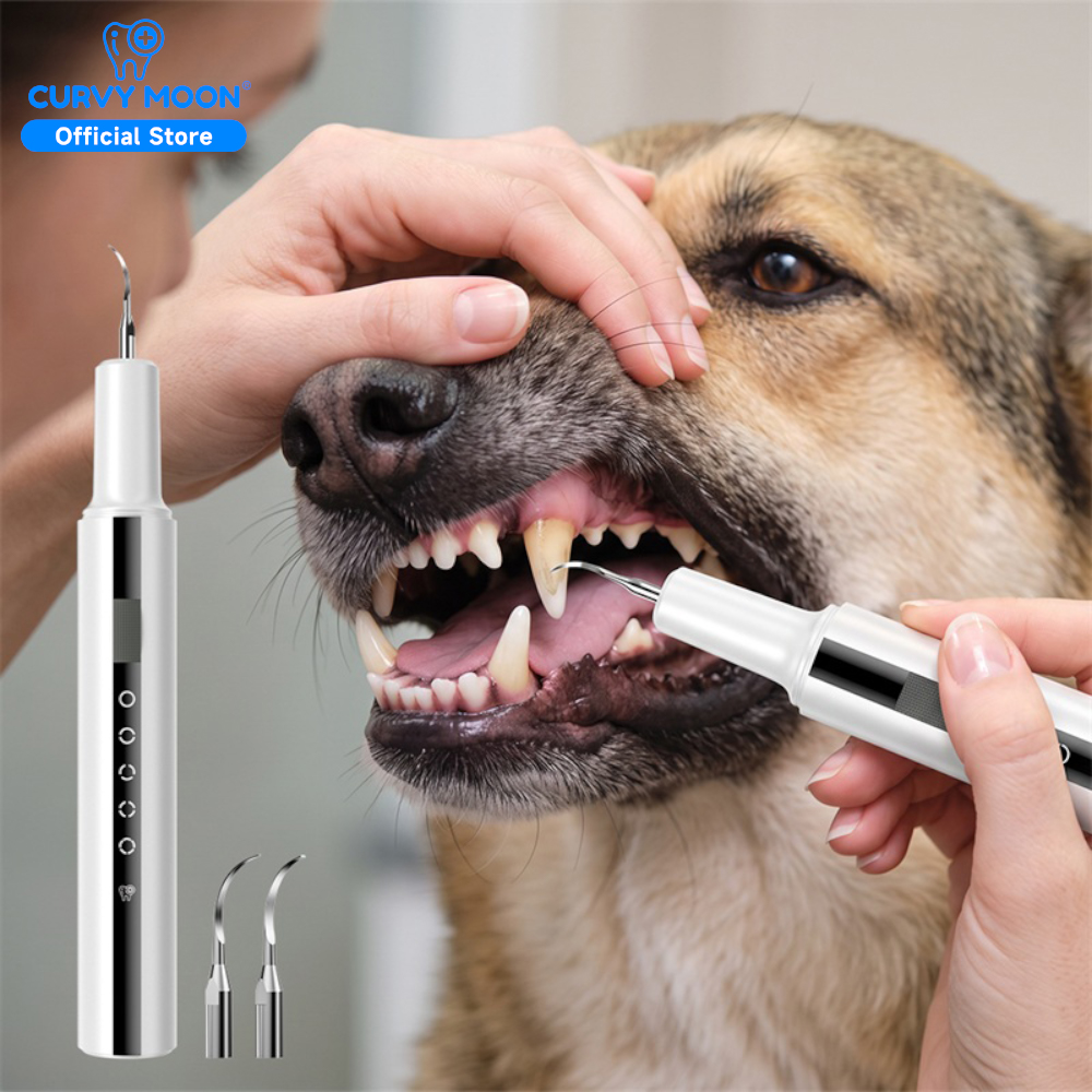 Veterinary Dental Scaler - เครื่องทำความสะอาดฟันสัตว์เลี้ยงด้วยคลื่นอัลตราโซนิก ปลอดภัย ไม่เจ็บปวด ใช้สำหรับสุนัขและแมว ขจัดคราบหินปูนและคราบพลัค