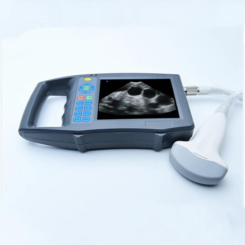 Livestock Ultrasound Pregnancy - เครื่องอัลตราซาวนด์สีแบบพกพาสำหรับสัตวแพทย์ ตรวจวินิจฉัยการตั้งท้องในสุกร แกะ และปศุสัตว์