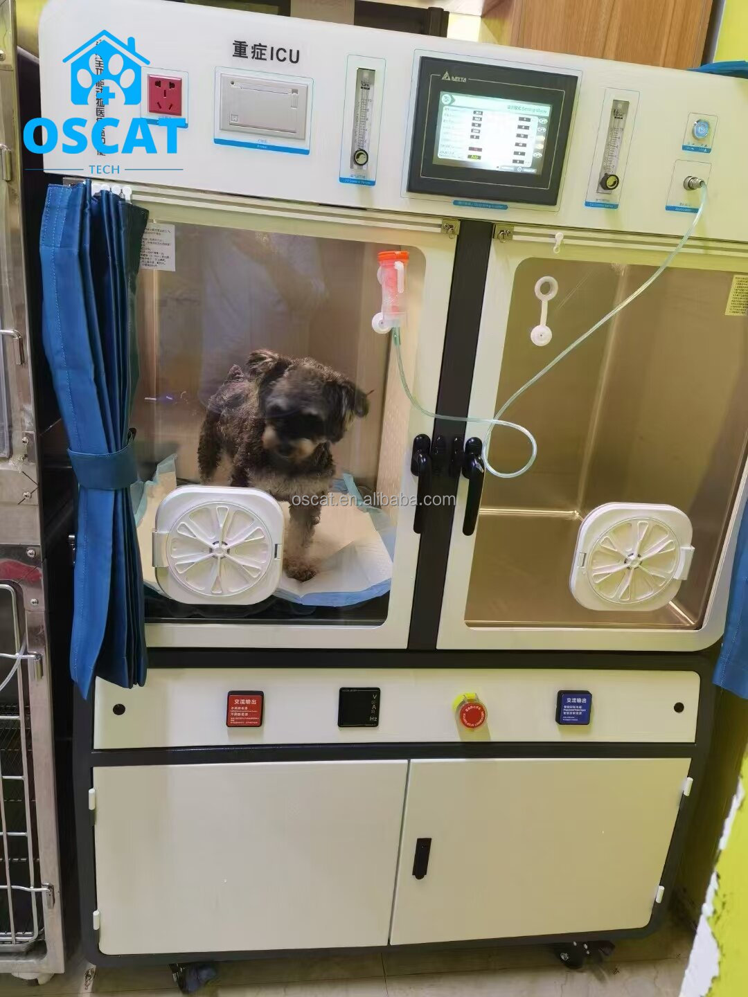 อุปกรณ์สัตวแพทย์ ตู้ออกซิเจน I - Animal Incubator Veterinary บทวิจารณ์และราคา