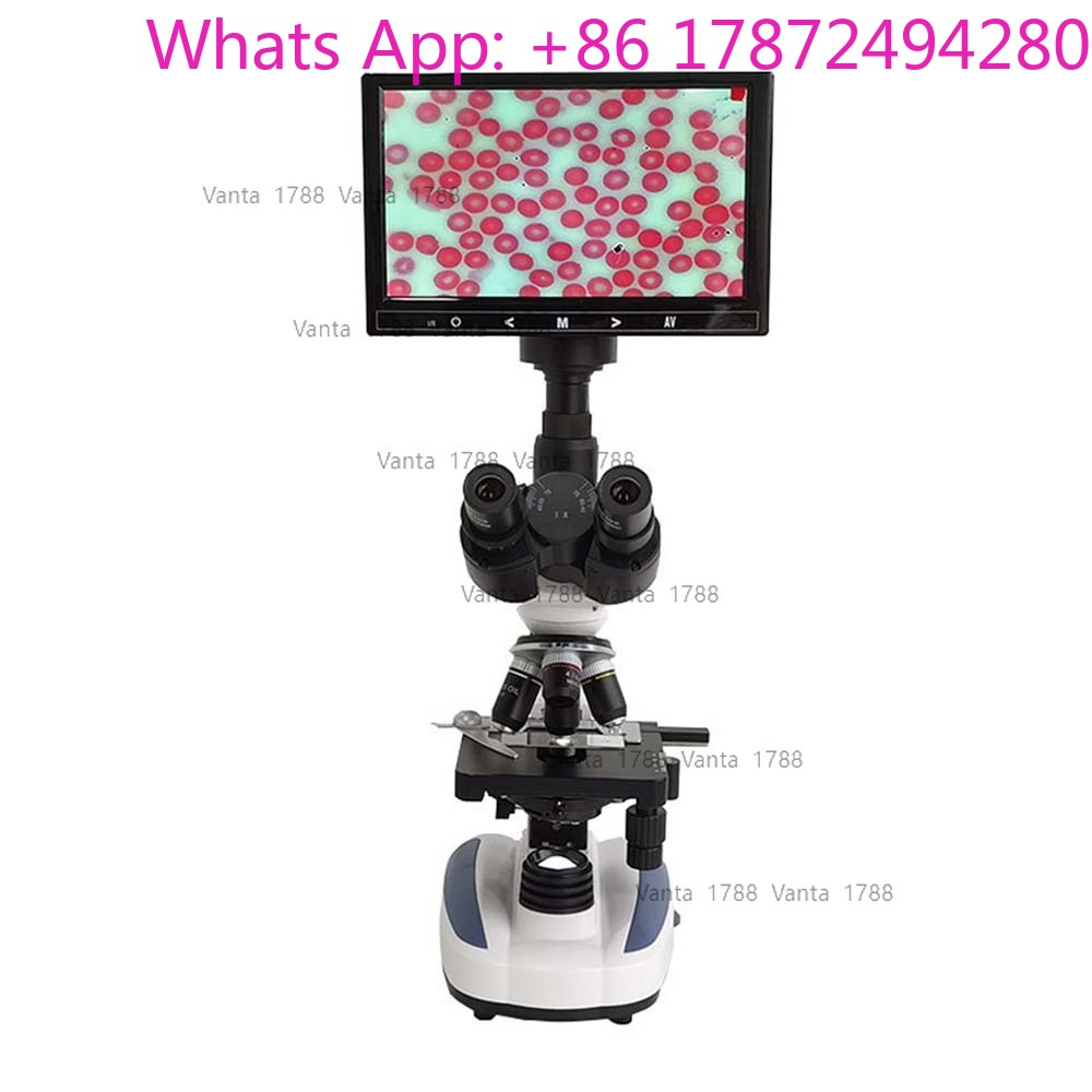 กล้องจุลทรรศน์แบบใช้แสงสำหรับส - Veterinary Microscope Binocular บทวิจารณ์และราคา