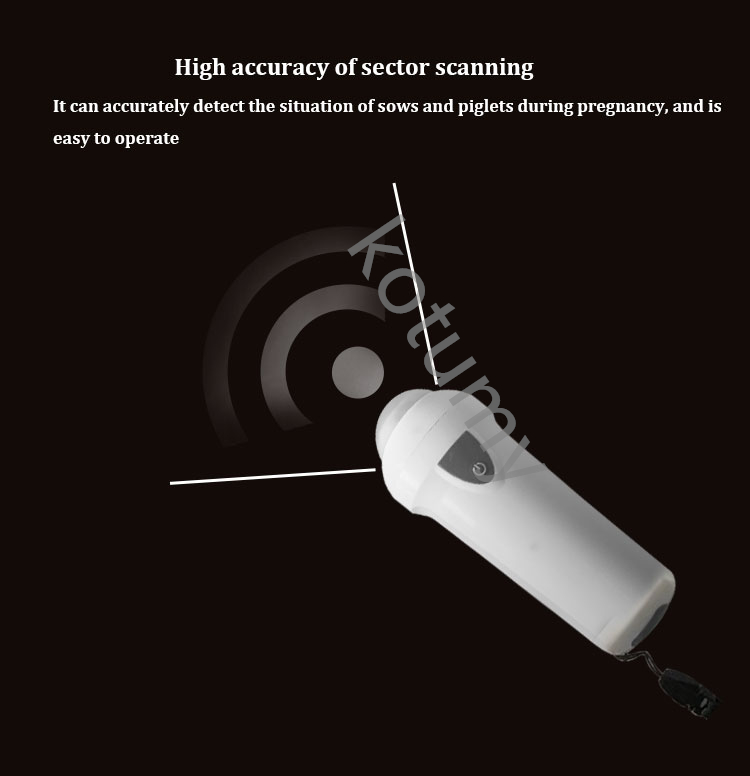 เครื่องอัลตราซาวนด์สัตวแพทย์แบ - Livestock Ultrasound Pregnancy บทวิจารณ์และราคา