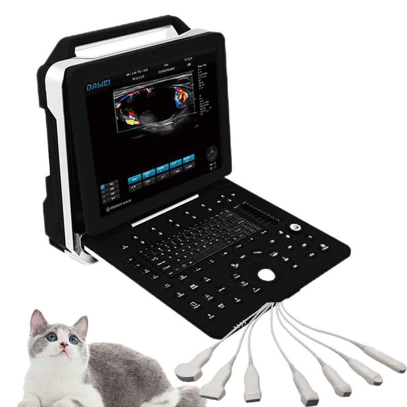 เครื่องสแกนอัลตราซาวด์แบบพกพาส - Livestock Ultrasound Pregnancy บทวิจารณ์และราคา