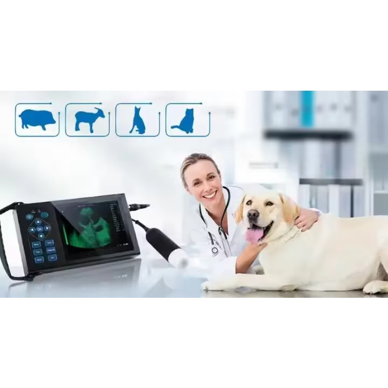 เครื่องสแกนอัลตราซาวด์ไร้สายแบ - Veterinary Ultrasound Scanner Portable บทวิจารณ์และราคา