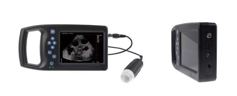 เครื่องอัลตราซาวด์สัตวแพทย์ อุ - Veterinary Ultrasound Scanner Portable บทวิจารณ์และราคา
