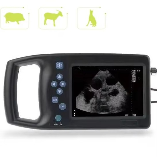 เครื่องอัลตราซาวด์สัตวแพทย์ อุ - Veterinary Ultrasound Scanner Portable บทวิจารณ์และราคา