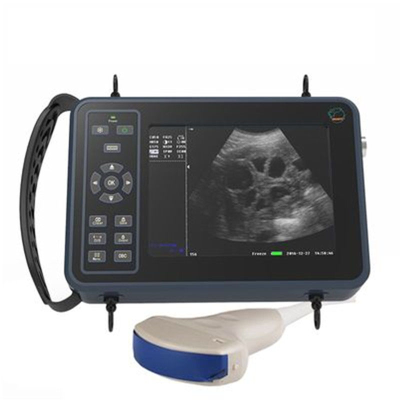 5.6 นิ้วปศุสัตว์แบบพกพา Veteri - Livestock Ultrasound Pregnancy บทวิจารณ์และราคา