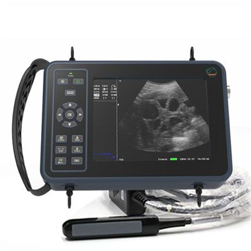 5.6 นิ้วปศุสัตว์แบบพกพา Veteri - Livestock Ultrasound Pregnancy บทวิจารณ์และราคา
