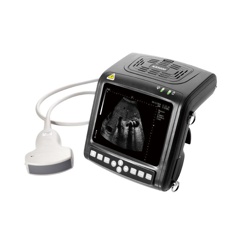 เครื่องตรวจอัลตราซาวด์สำหรับสั - Livestock Ultrasound Pregnancy บทวิจารณ์และราคา