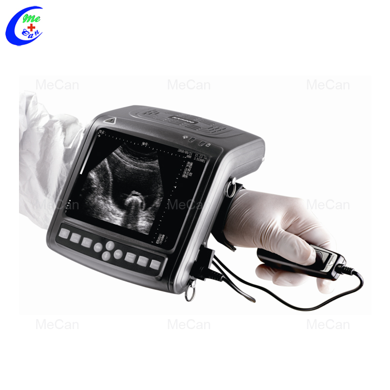 เครื่องตรวจอัลตราซาวด์สำหรับสั - Livestock Ultrasound Pregnancy บทวิจารณ์และราคา