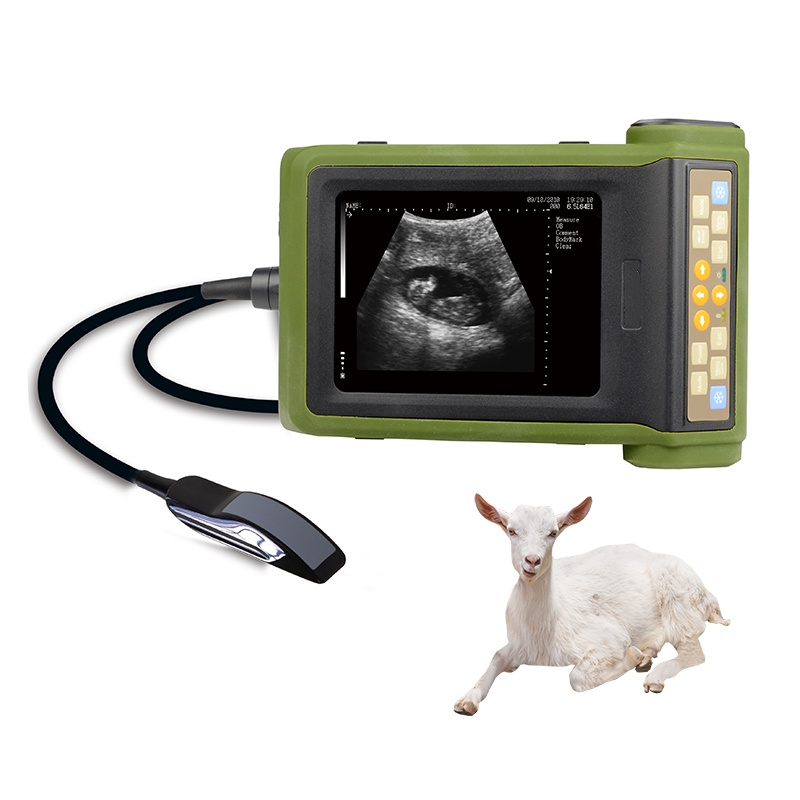 เครื่องตรวจอัลตราซาวด์สำหรับสั - Livestock Ultrasound Pregnancy บทวิจารณ์และราคา