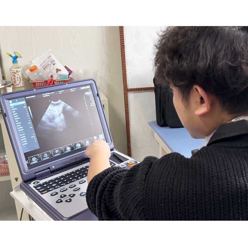 เครื่องอัลตราซาวนด์แบบพกพาสำหร - Veterinary Ultrasound Scanner Portable บทวิจารณ์และราคา