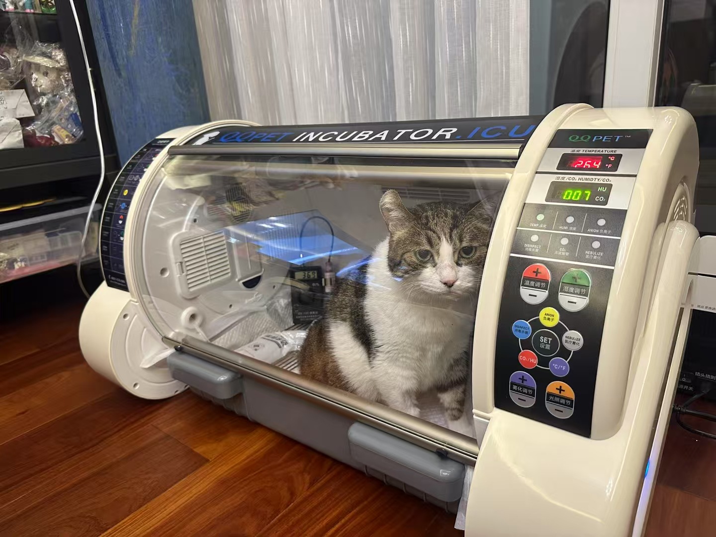 ห้องไอซียูเคลื่อนที่สำหรับสัตว - Animal Incubator Veterinary บทวิจารณ์และราคา