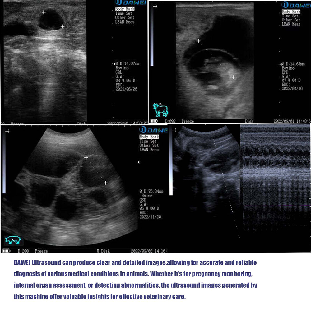 เครื่องสแกนอัลตราซาวนด์สัตวแพท - Veterinary Ultrasound Scanner Portable บทวิจารณ์และราคา