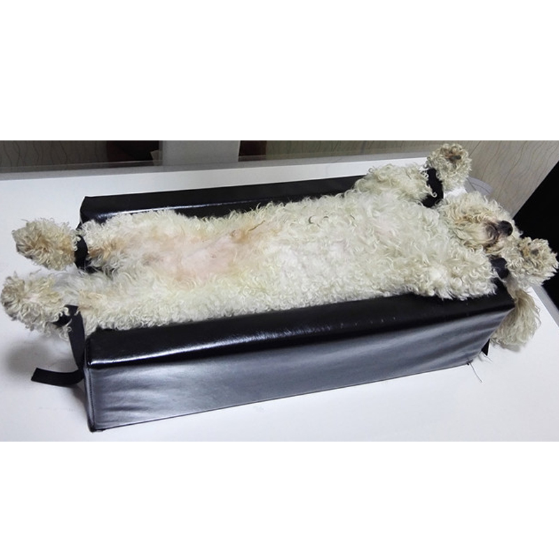 ขนาดเล็กขนาดสัตว์ Xray เครื่อง - Veterinary X Ray Machine บทวิจารณ์และราคา