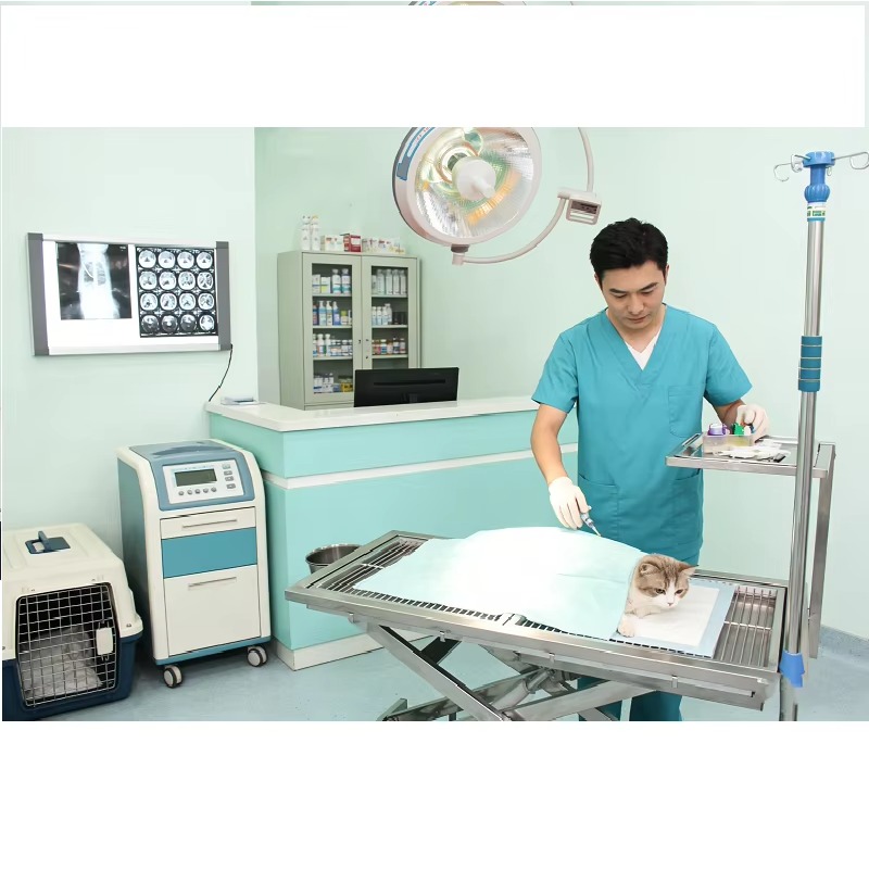 โต๊ะผ่าตัดสัตว์ไฟฟ้าแบบมืออาชี - Veterinary Blood Analyzer บทวิจารณ์และราคา