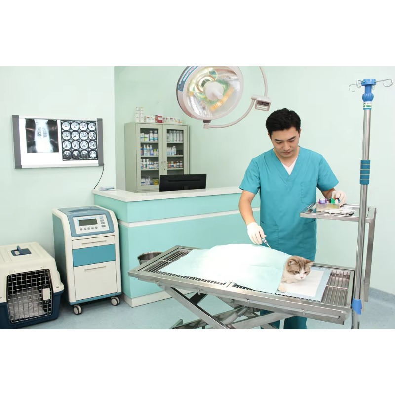 โต๊ะผ่าตัดสัตว์ไฟฟ้าแบบมืออาชี - Veterinary Blood Analyzer บทวิจารณ์และราคา