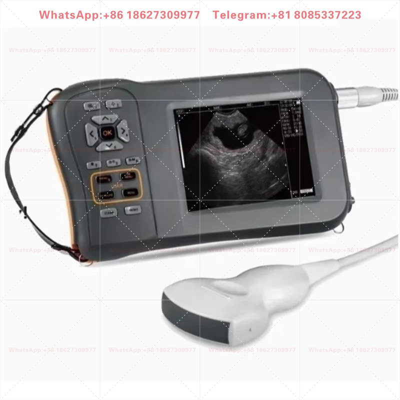 เครื่องอัลตราซาวนด์แบบพกพาสำหร - Veterinary Ultrasound Scanner Portable บทวิจารณ์และราคา