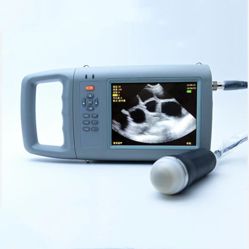 เครื่องอัลตราซาวนด์สีแบบพกพาสำ - Livestock Ultrasound Pregnancy บทวิจารณ์และราคา