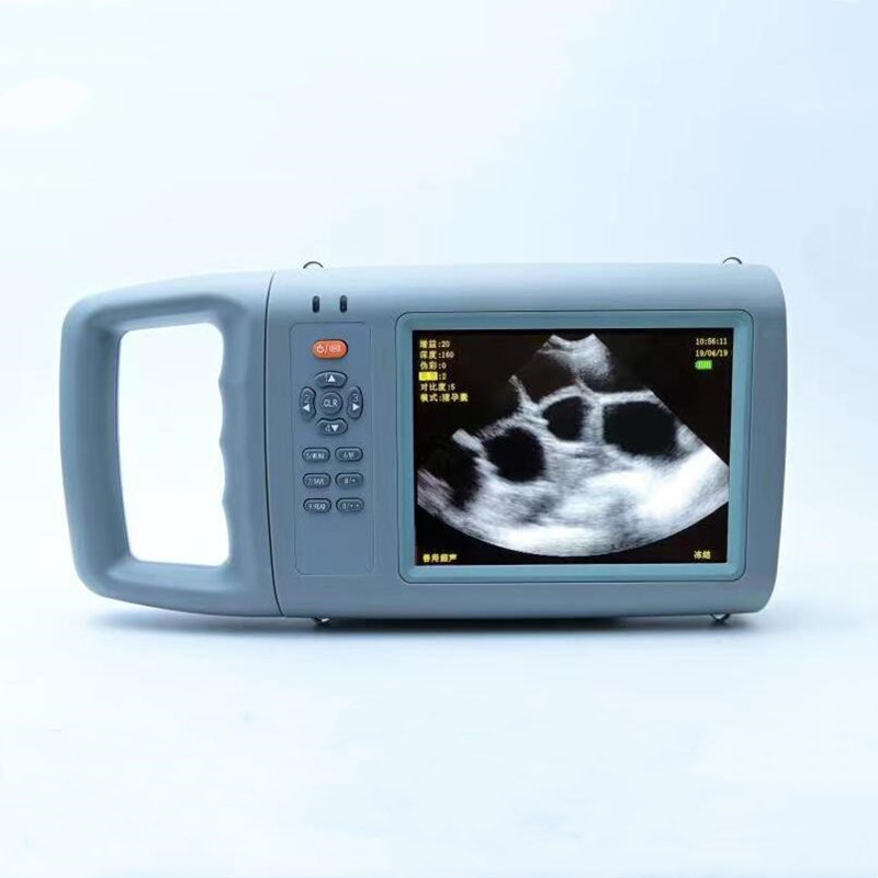 เครื่องอัลตราซาวนด์สีแบบพกพาสำ - Livestock Ultrasound Pregnancy บทวิจารณ์และราคา