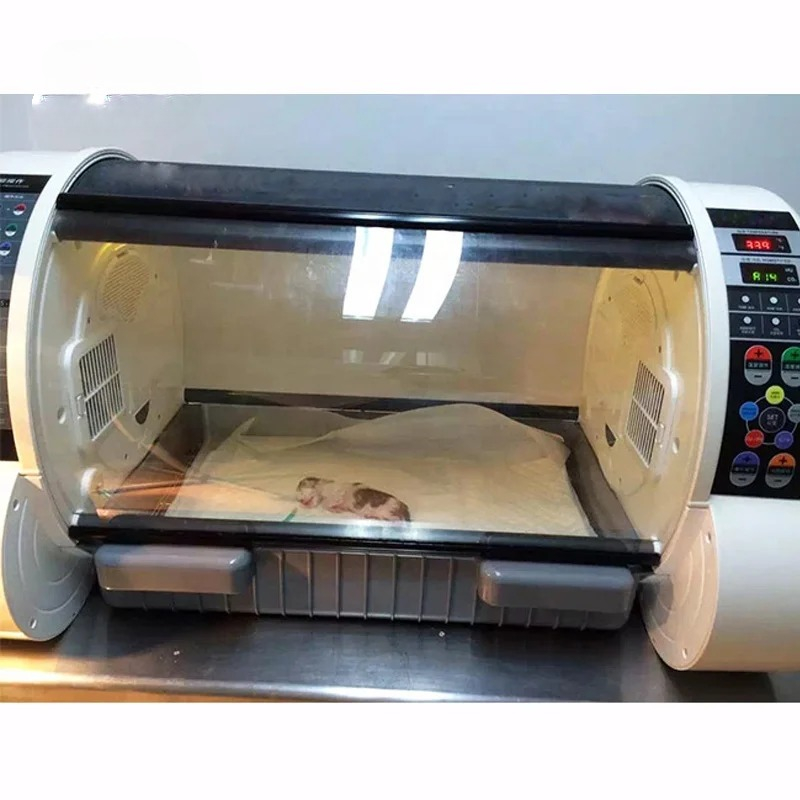 ตู้อบสัตว์เลี้ยงสำหรับสัตว์แรก - Animal Incubator Veterinary บทวิจารณ์และราคา