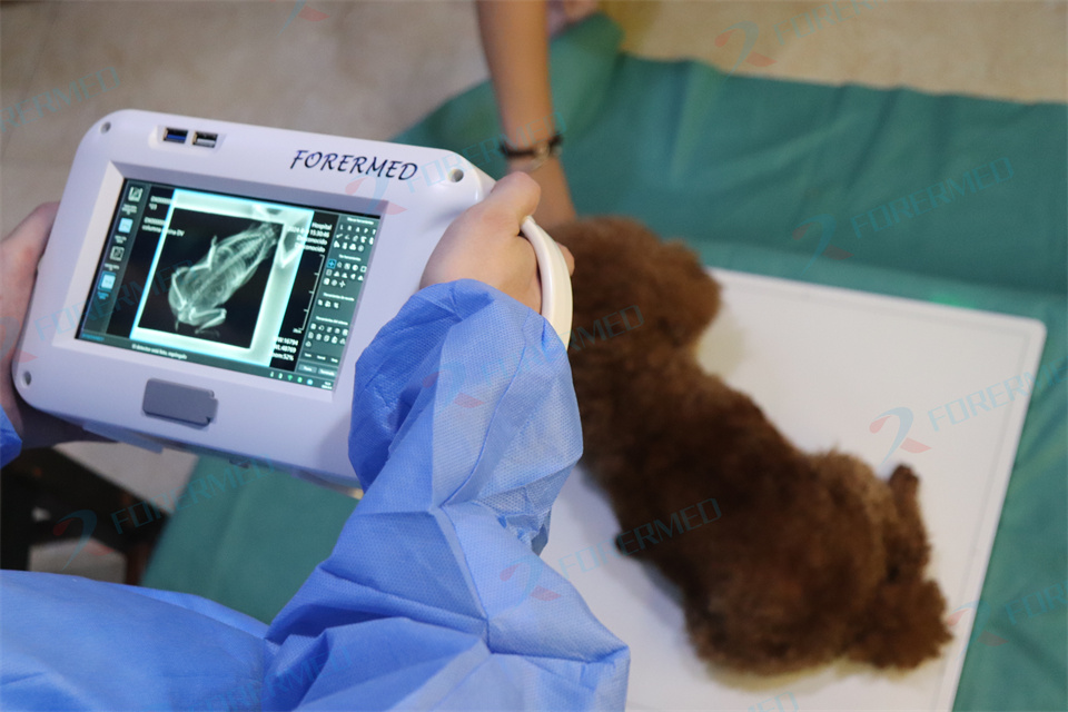 Mini Veterinary X Ray Machine  - Veterinary X Ray Machine บทวิจารณ์และราคา