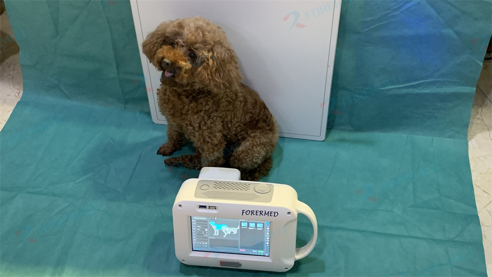 Mini Veterinary X Ray Machine  - Veterinary X Ray Machine บทวิจารณ์และราคา